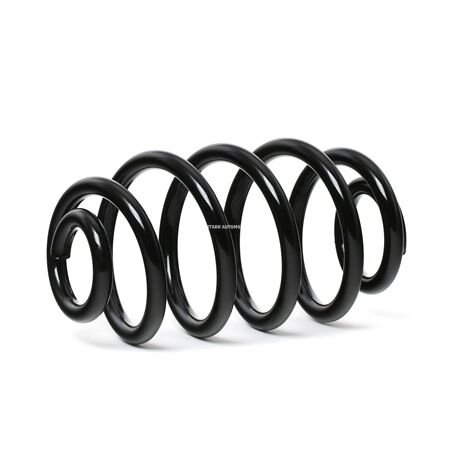 Opel Vectra C Helezon Yayı Arka BSG Marka