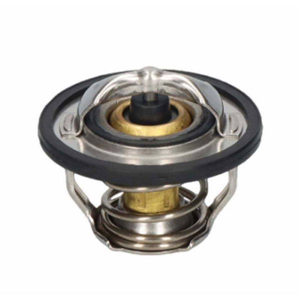 Termostat (içi) Z22se Magnetı Marelli Marka