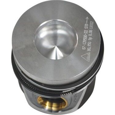 Chevrolet Captiva C100 Std Piston Goetze Marka