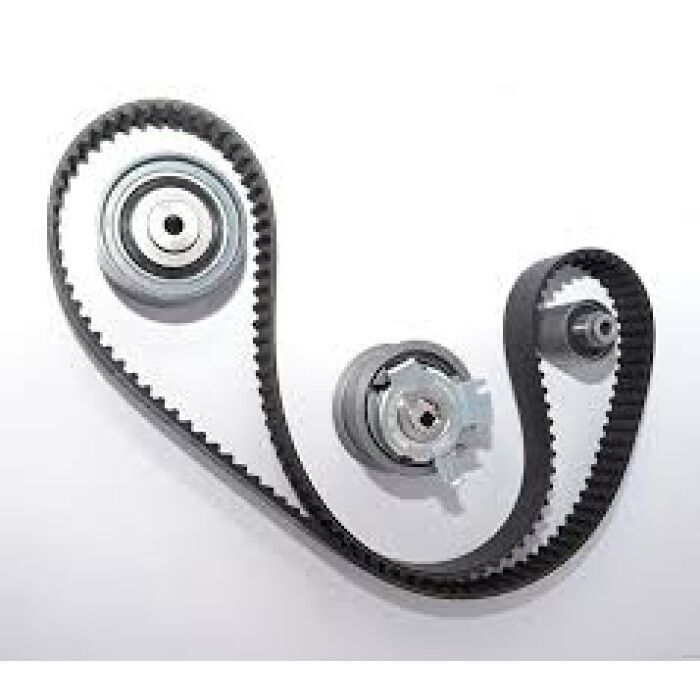 Ford Focus Triger Seti 1.5 Dragon 3 Silindir 18- Fiesta Dayco Marka