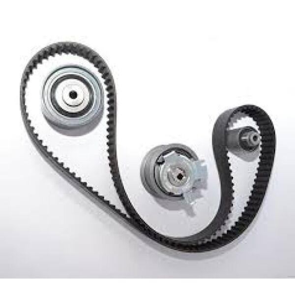 Ford Focus Triger Seti 1.5 Dragon 3 Silindir 18- Fiesta Dayco Marka